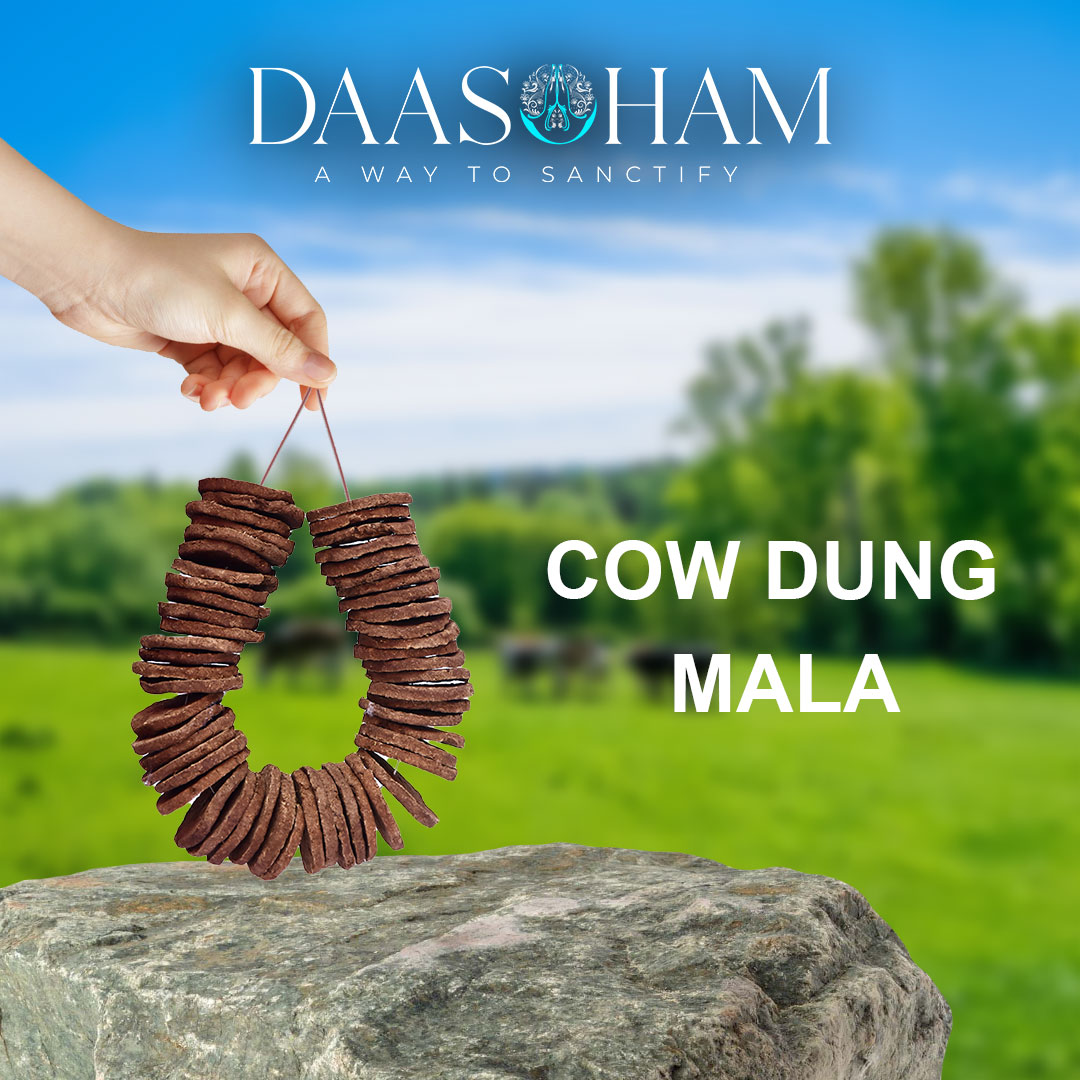 Cow Dung Cake Price Amazon